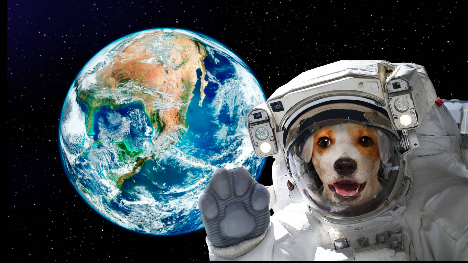  壁紙 — 一隻穿著太空衣的快樂比格犬在漂浮於星空中的地球背景下揮動爪子。