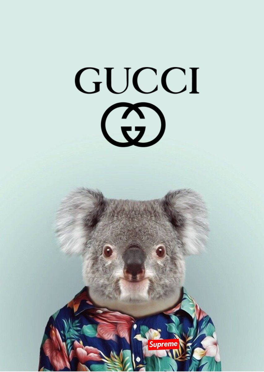 Gucci 桌布 壁紙 — 一隻穿著帶有Supreme標誌的花卉襯衫的無尾熊，在淺藍色背景上，上方有Gucci標誌，直視觀眾。