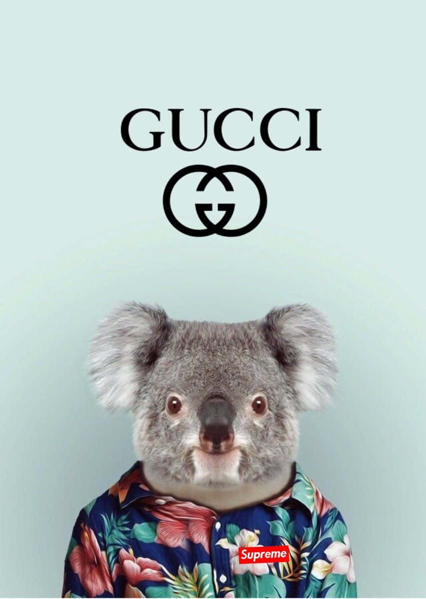 Gucci 桌布 壁紙 — 一隻穿著帶有Supreme標誌的花襯衫的無尾熊，在淺藍色背景上直視鏡頭，上方有Gucci標誌。