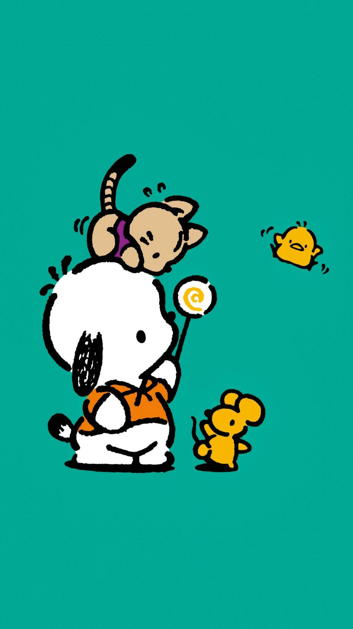 Pochacco 桌布 壁紙 — 一隻穿著橙色襯衫的卡通狗拿著棒棒糖，一隻貓坐在牠的頭上，黃色小雞在附近拍打翅膀，背景是藍綠色。