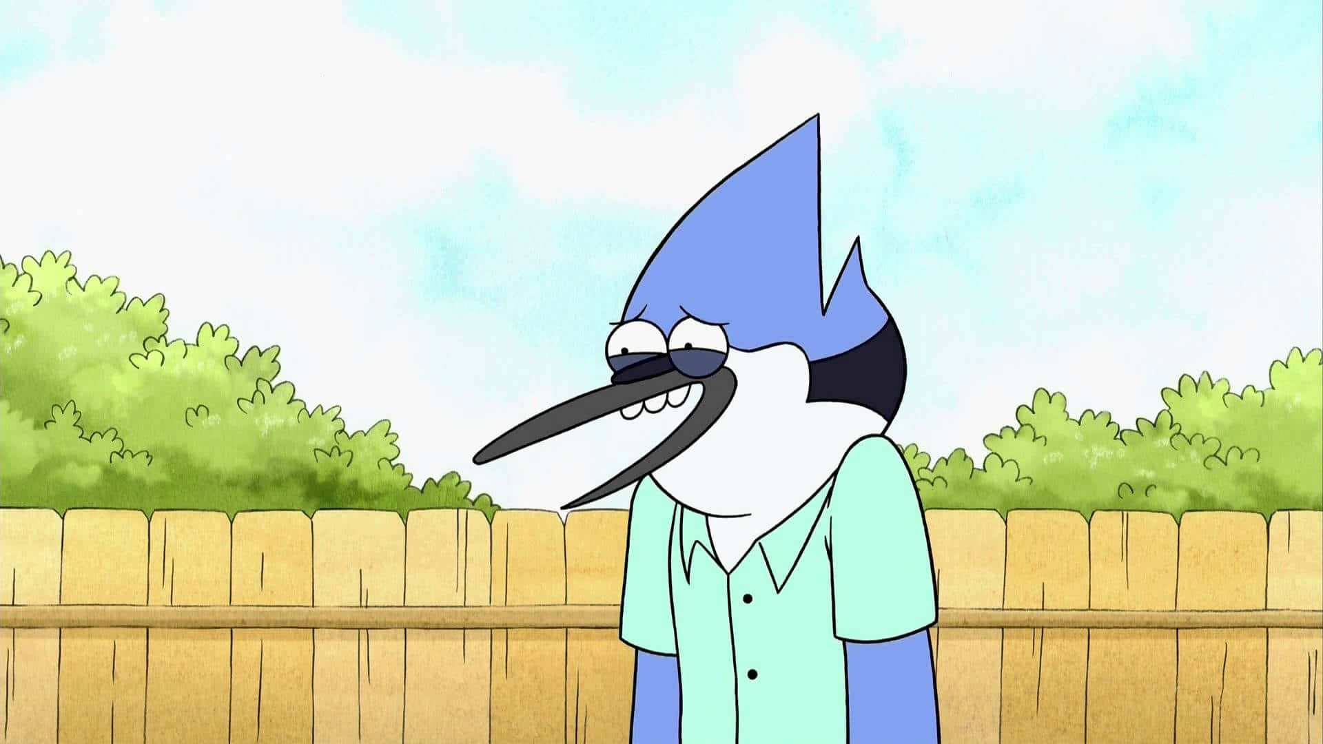 Regular Show 桌布 壁紙 — 一隻穿著淺綠色襯衫的藍松鴉卡通角色，站在淡藍色天空下、有綠色灌木的木柵欄後面。