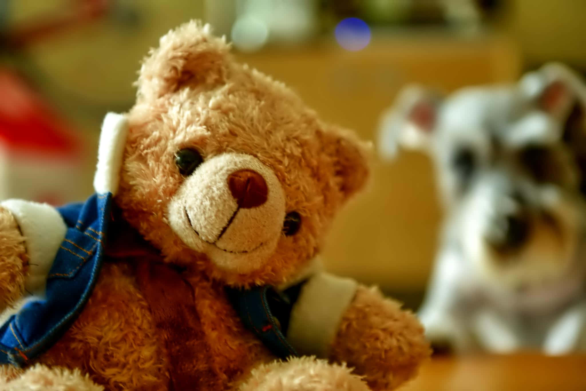 Teddy Bear 桌布 壁紙 — 一隻穿著牛仔吊帶褲的毛絨棕色泰迪熊的特寫，坐在一隻模糊的邋遢狗旁邊，房間裡燈光溫暖。