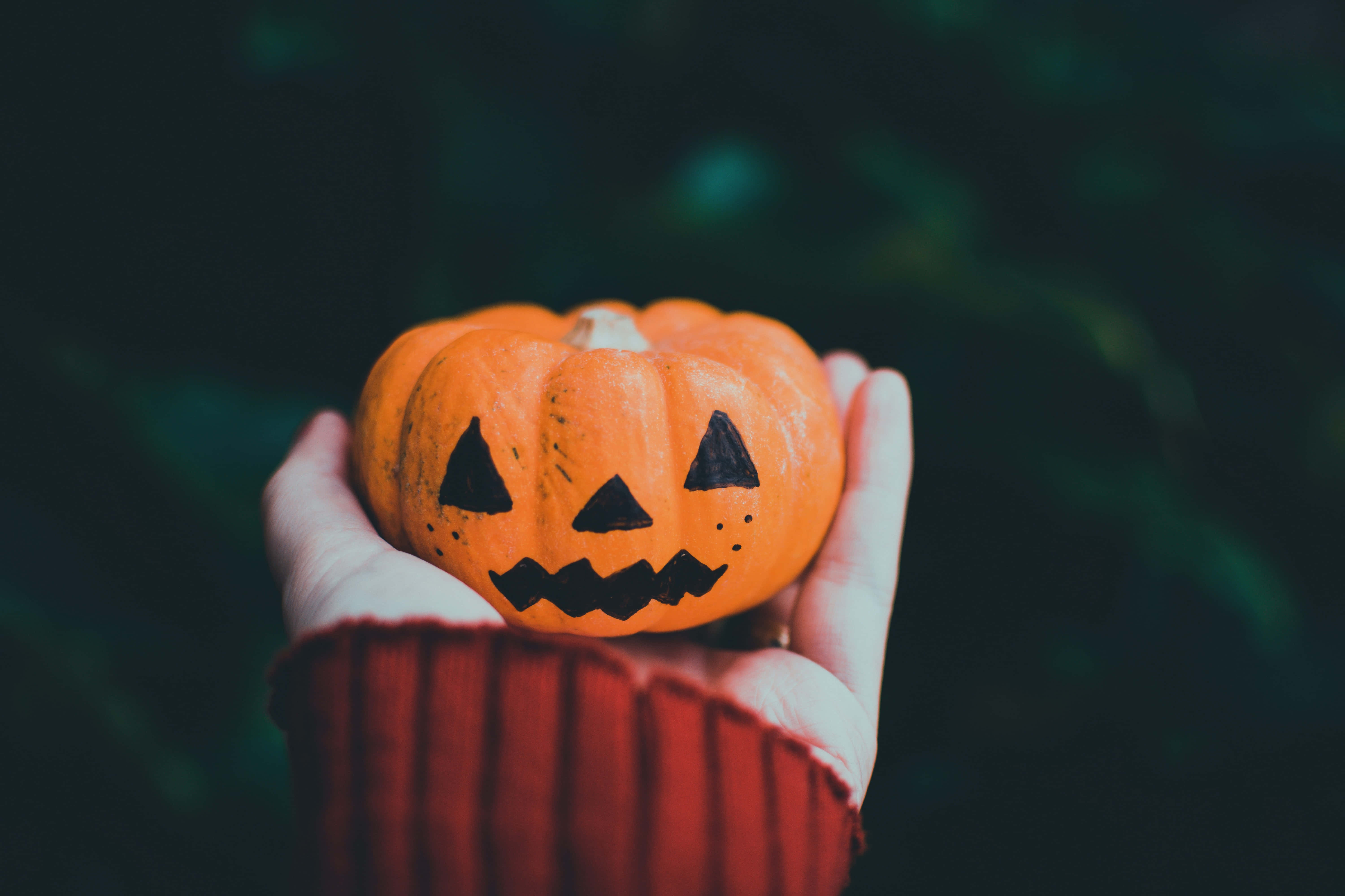Halloween Props 桌布 壁紙 — 一隻穿著紅色袖子的手，在黑暗模糊的背景前，輕輕拿著一個雕刻有經典傑克南瓜燈臉孔的小橙色南瓜。