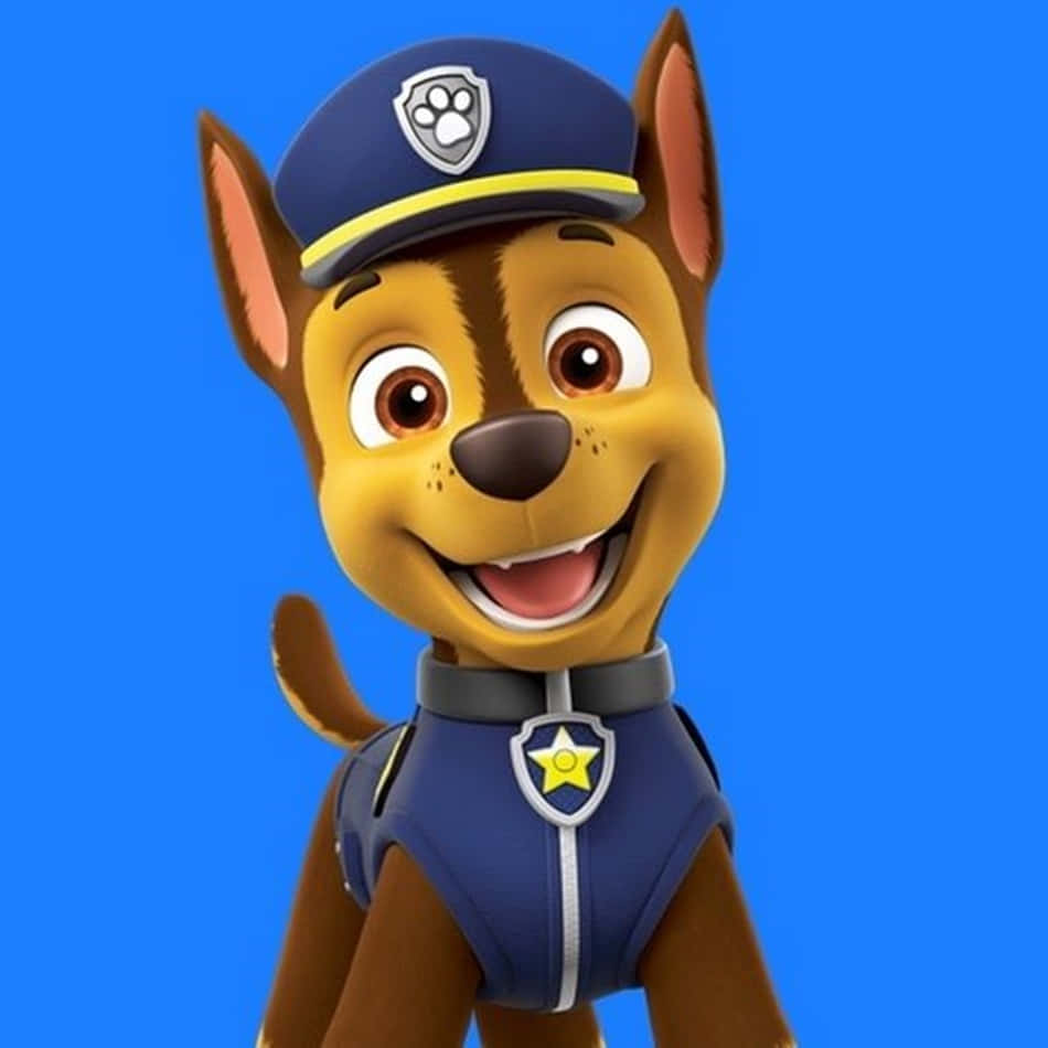 Chase Paw Patrol 桌布 壁紙 — 一隻穿著藍色制服、帶有星星徽章的開心卡通警犬幼崽，在純藍色背景上燦爛地微笑。
