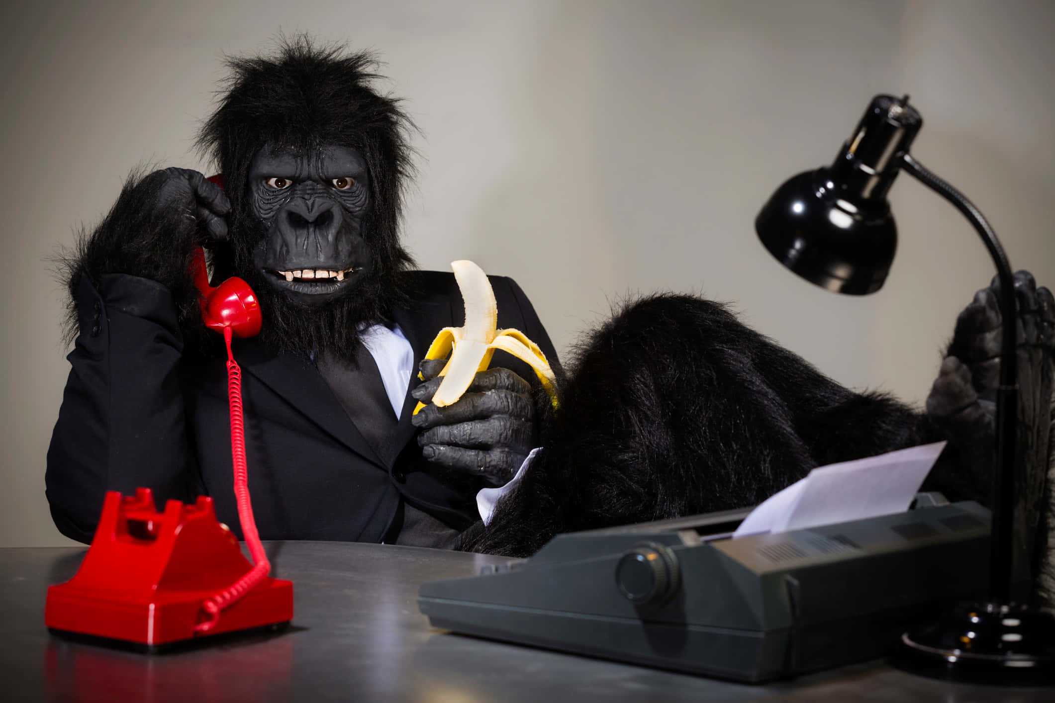 Ape 桌布 壁紙 — 一隻穿著西裝的大猩猩坐在辦公桌前，拿著香蕉，同時用紅色電話通話，附近有打字機和燈。