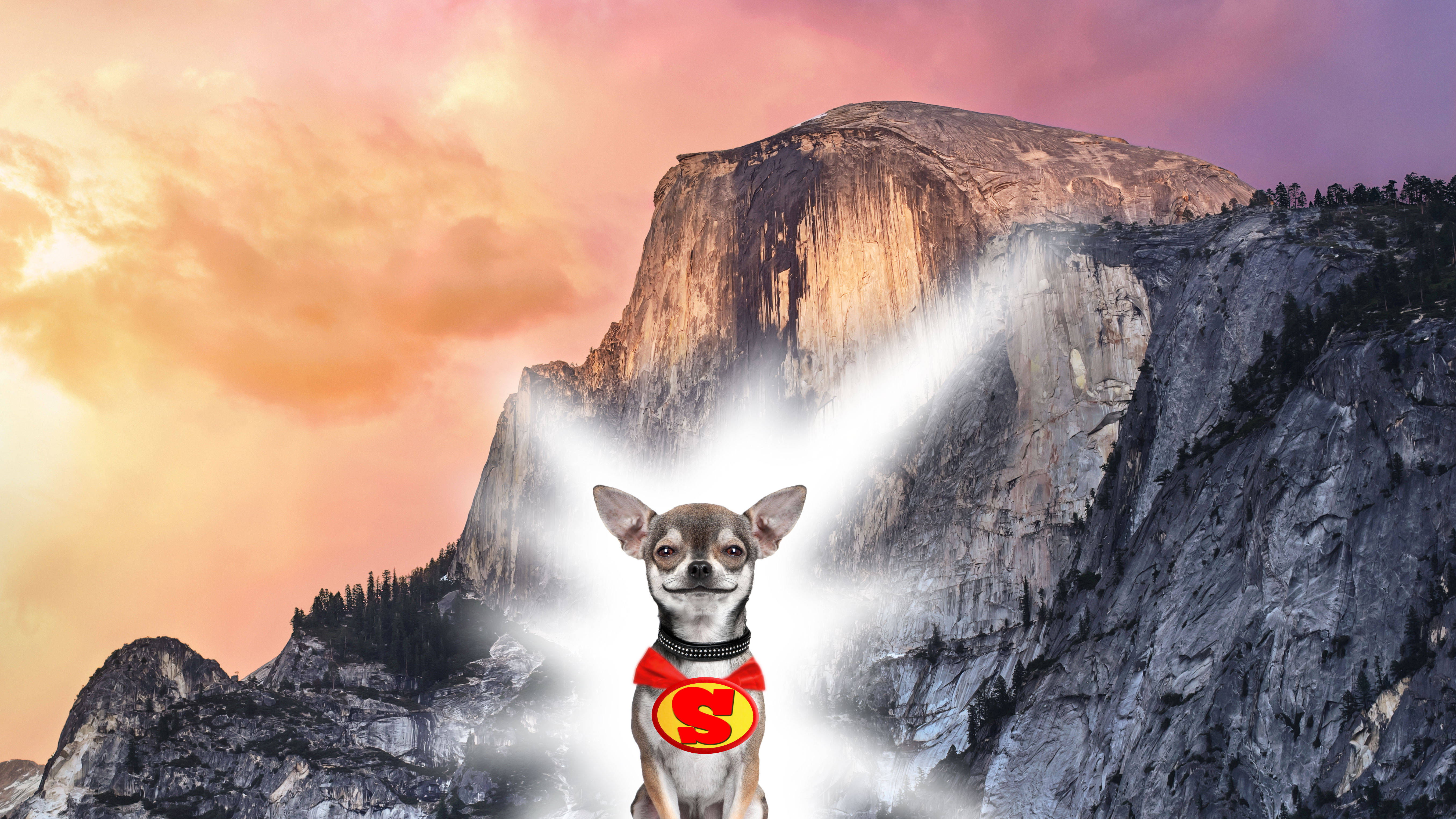 Chihuahua 桌布 壁紙 — 一隻穿著超級英雄斗篷的吉娃娃在日落時分自豪地站在霧氣繚繞的山前。