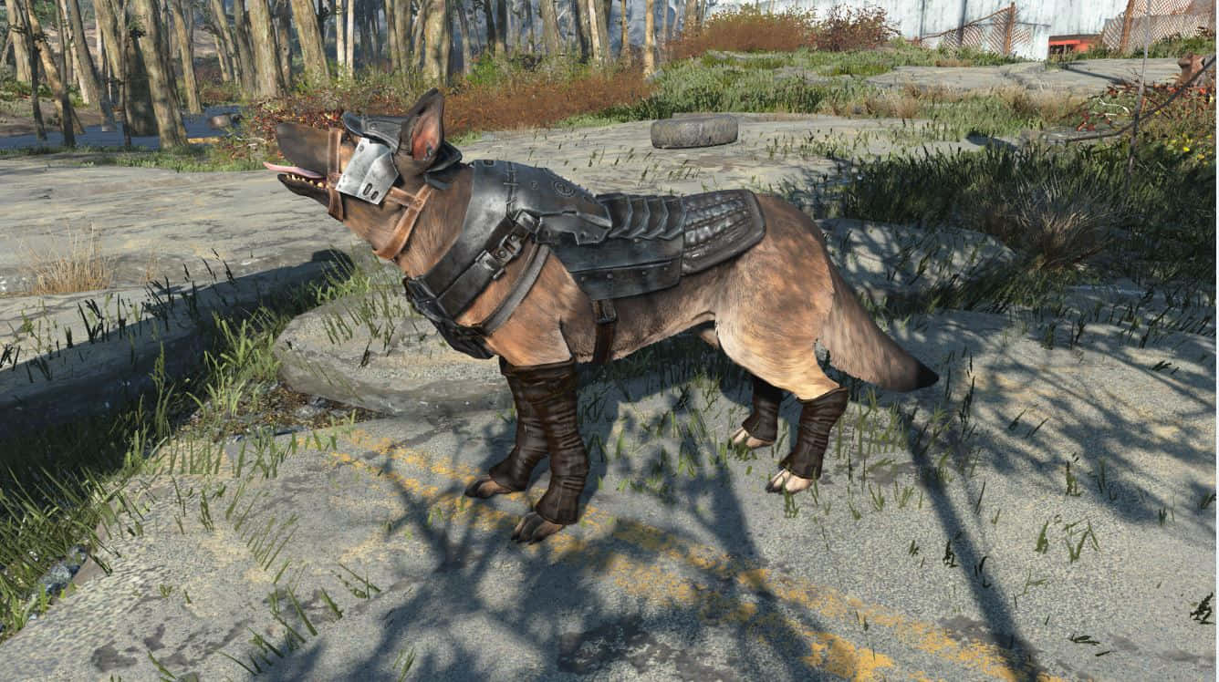 Fallout 4 Dogmeat 桌布 壁紙 — 一隻穿著重型盔甲的德國牧羊犬警覺地站在一條佈滿裂縫的瀝青路上，周圍長滿了雜草和樹木。