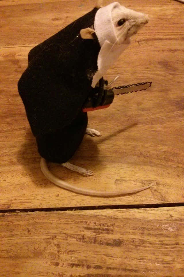 Rat 桌布 壁紙 — 一隻穿著黑色西裝、頭上纏著白色繃帶的小老鼠，在木地板上拿著一把迷你電鋸。