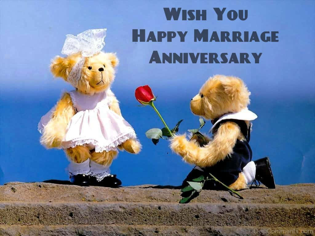 Anniversary 桌布 壁紙 — 一隻穿西裝的泰迪熊跪著，向一隻穿白色連衣裙的泰迪熊獻上一朵紅玫瑰，背景為藍色，並有週年紀念文字。