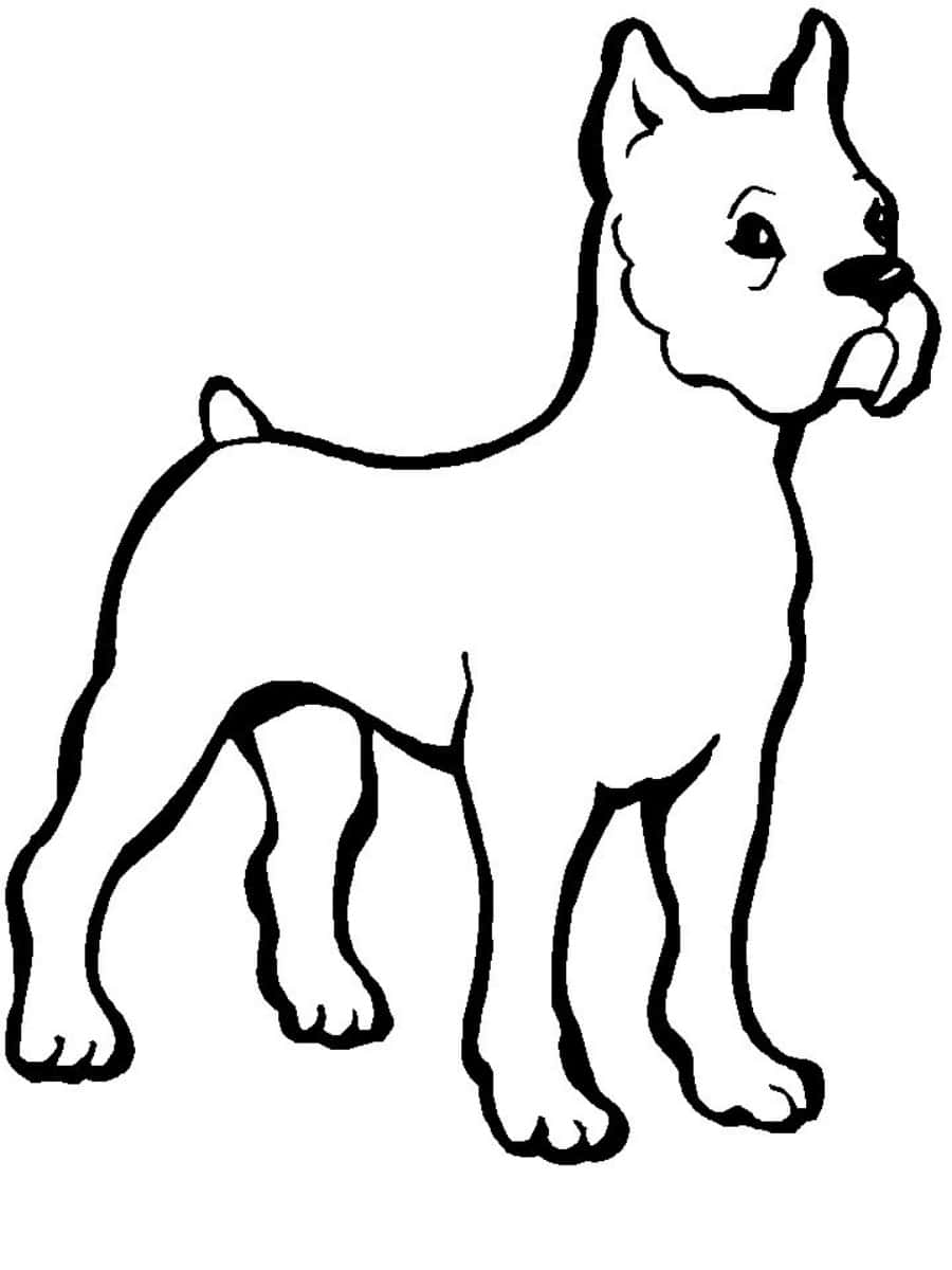 Dog Coloring 桌布 壁紙 — 一隻站立狗的簡單黑色輪廓插圖，耳朵豎起，尾巴細小。