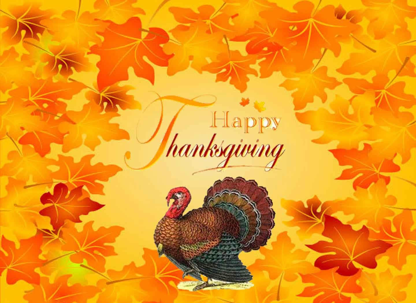 Happy Thanksgiving 桌布 壁紙 — 一隻節慶火雞站在充滿活力的秋葉框架中，並以優雅的手寫體寫上「Happy Thanksgiving」。