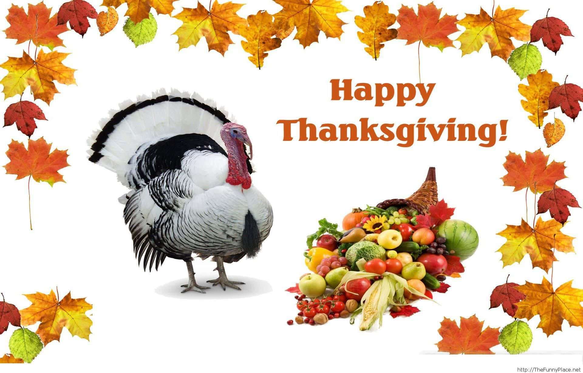Happy Thanksgiving 桌布 壁紙 — 一隻節日感恩節火雞站在一個裝滿色彩繽紛水果和蔬菜的豐饒角旁邊，周圍環繞著秋葉。