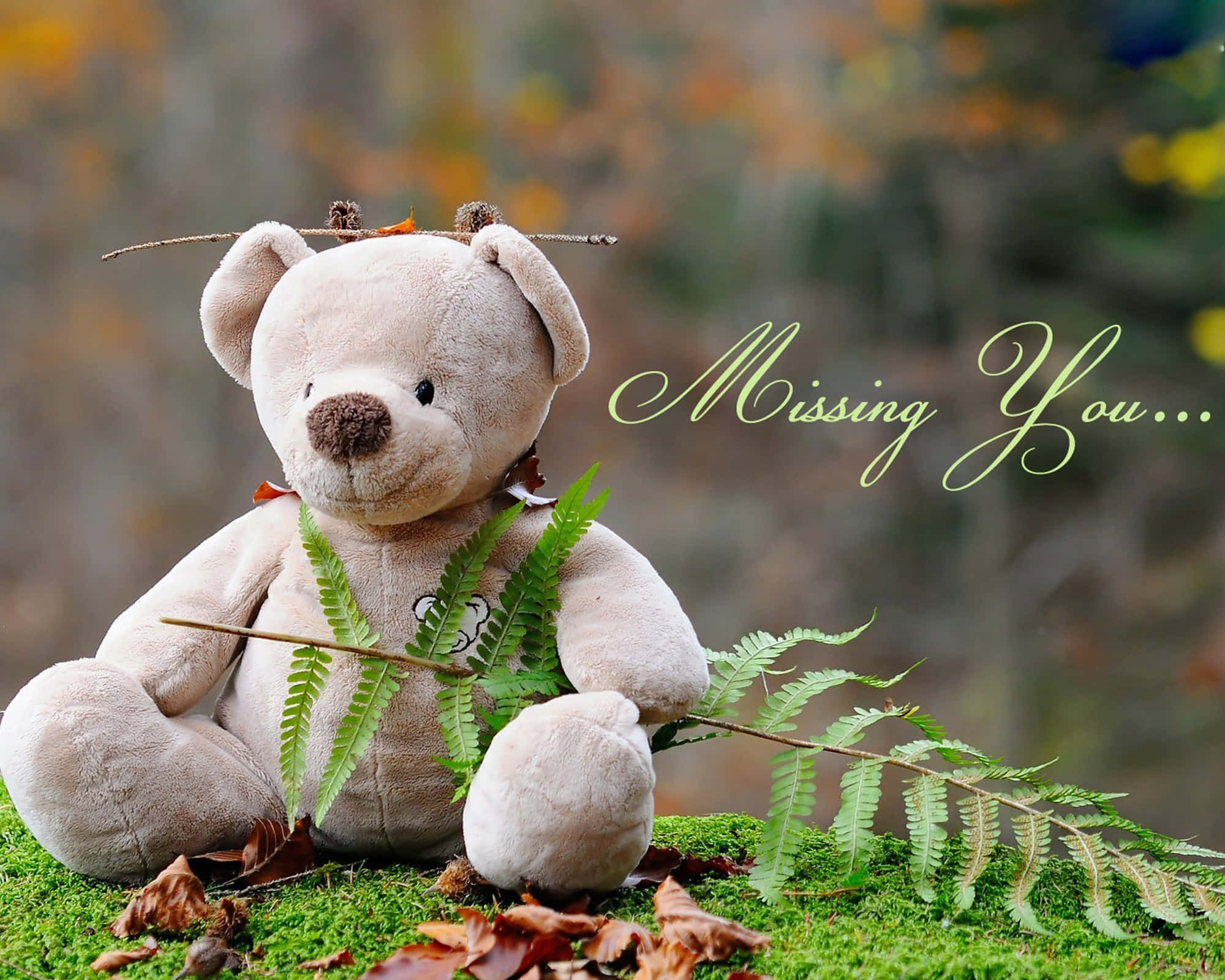 Cute Teddy 桌布 壁紙 — 一隻米色泰迪熊坐在苔蘚上，手持蕨類植物，周圍有秋葉，並以柔和的綠色字體寫著Missing You。