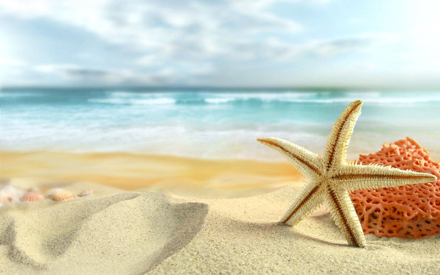 Best Summer 桌布 壁紙 — 一隻米色海星躺在金色沙灘上，旁邊有一個橙色海綿，背景是碧綠的海浪翻滾。