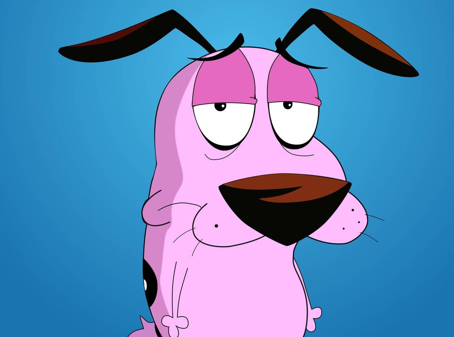 Cartoon Network Characters 桌布 壁紙 — 一隻粉紅色卡通狗，眼睛下垂，耳朵黑色，在純藍色背景上茫然地凝視。