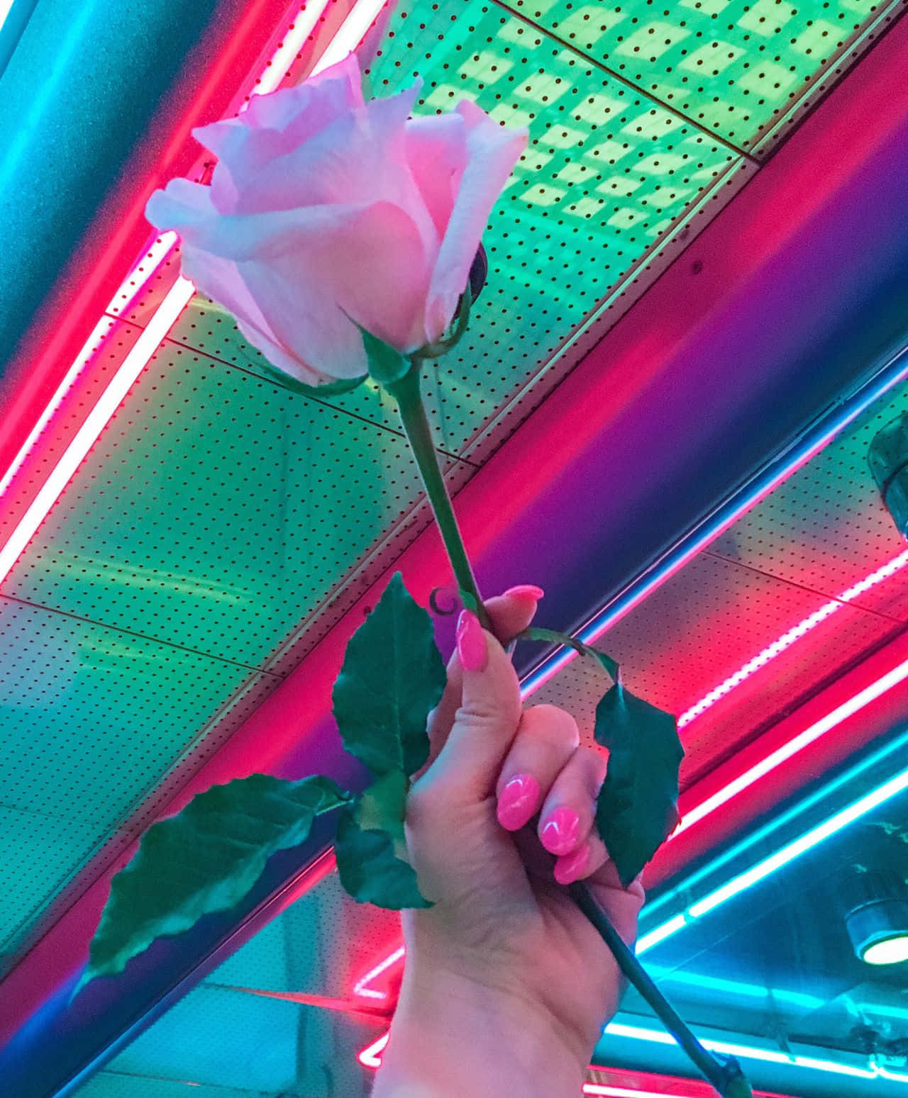 霓虹美學 桌布 壁紙 — 一隻粉紅色指甲的手，拿著一朵柔軟的粉紅色玫瑰，背景是充滿活力的霓虹燈天花板，帶有紅色和青綠色的燈光。