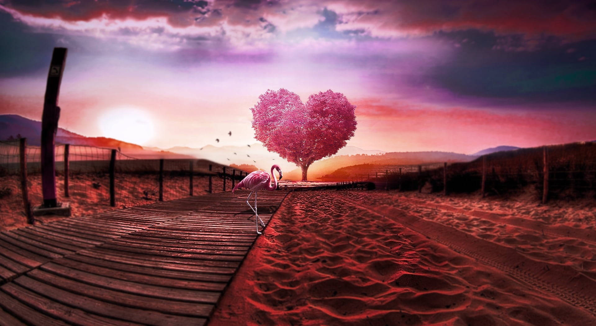 Love Nature 桌布 壁紙 — 一隻粉紅色火烈鳥站在通往心形樹的木棧道上，背景是充滿活力的粉紅和紫色日落天空。