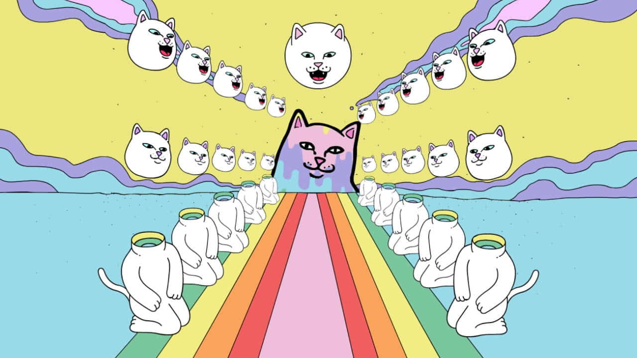 ripndip 桌布 壁紙 — 一隻粉紅色的貓沿著彩虹路徑，走向一個被漂浮白貓包圍的微笑太陽，背景是迷幻的天空。