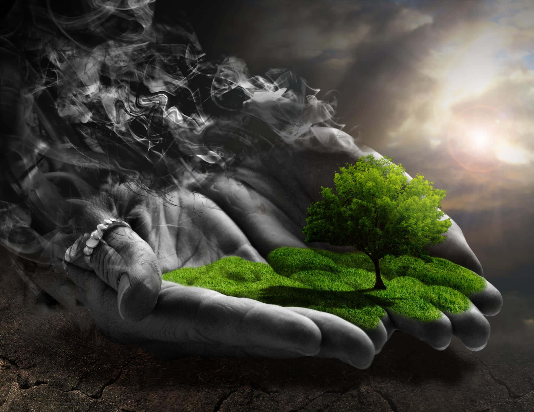 hope 桌布 壁紙 — 一隻粗糙的手捧著一棵充滿活力的綠色樹木和一片草地，背景是暴風雨的天空，陽光穿透雲層。