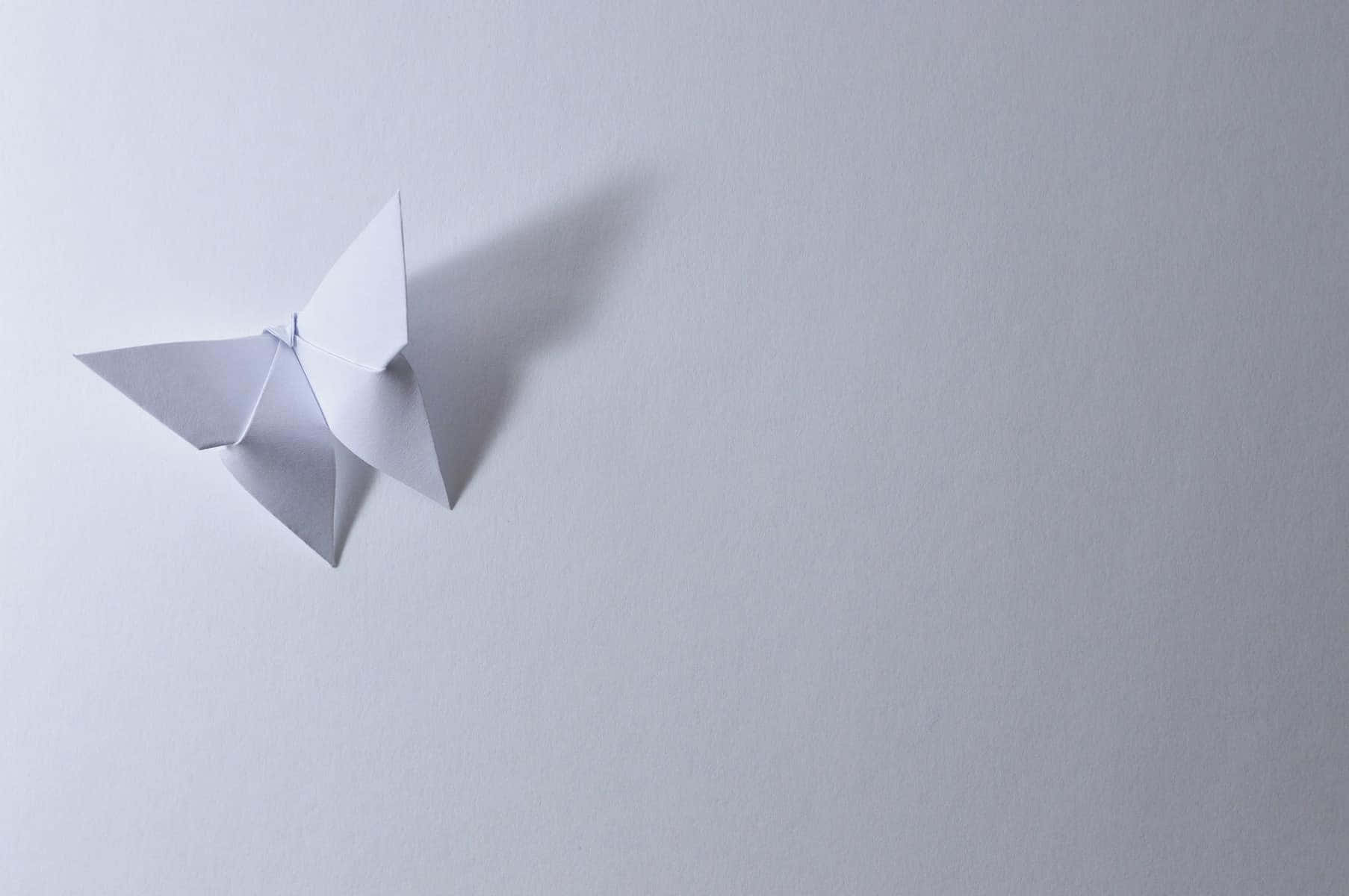 Butterfly Origami 桌布 壁紙 — 一隻精緻的白色摺紙蝴蝶停放在柔軟的灰色表面上，投下微妙的陰影。