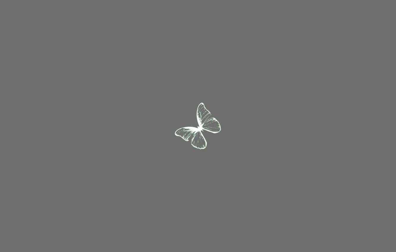 Butterflies Laptop 桌布 壁紙 — 一隻精緻的白色線條蝴蝶在純灰色背景中央飄浮。