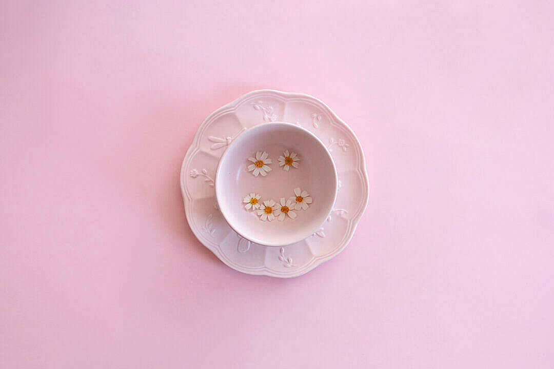 Pastel Pink Aesthetic 桌布 壁紙 — 一隻精緻的白色陶瓷杯和碟，上面有壓花雛菊，置於柔和的粉紅色背景中央。