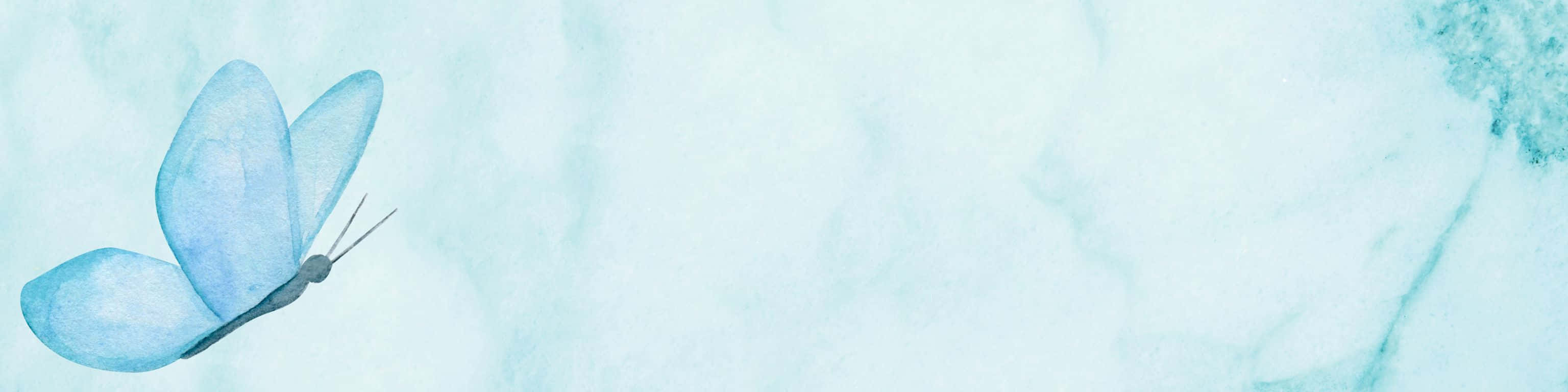 3072x768 桌布 壁紙 — 一隻精緻的藍色水彩蝴蝶停留在帶有柔和漩渦的柔軟大理石背景上。