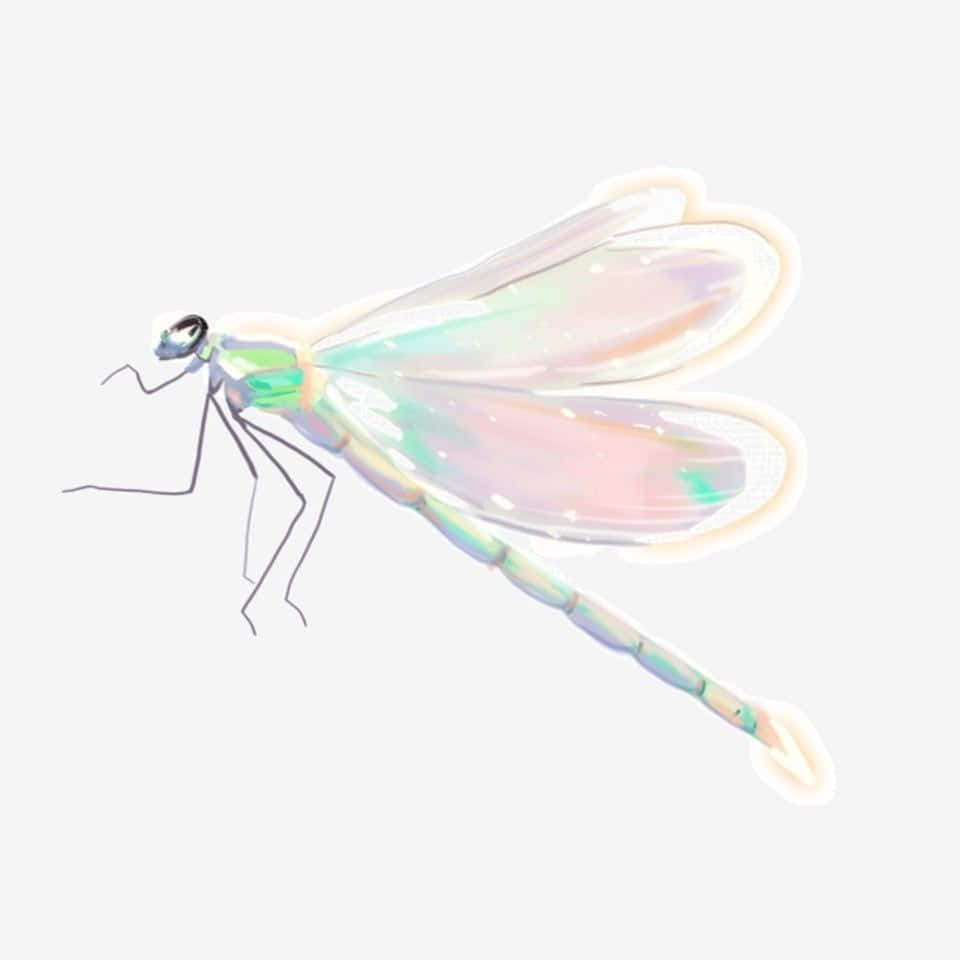 Blue Dragonfly 桌布 壁紙 — 一隻精緻的蜻蜓，帶有虹彩粉彩翅膀，在純色背景上柔和地發光。