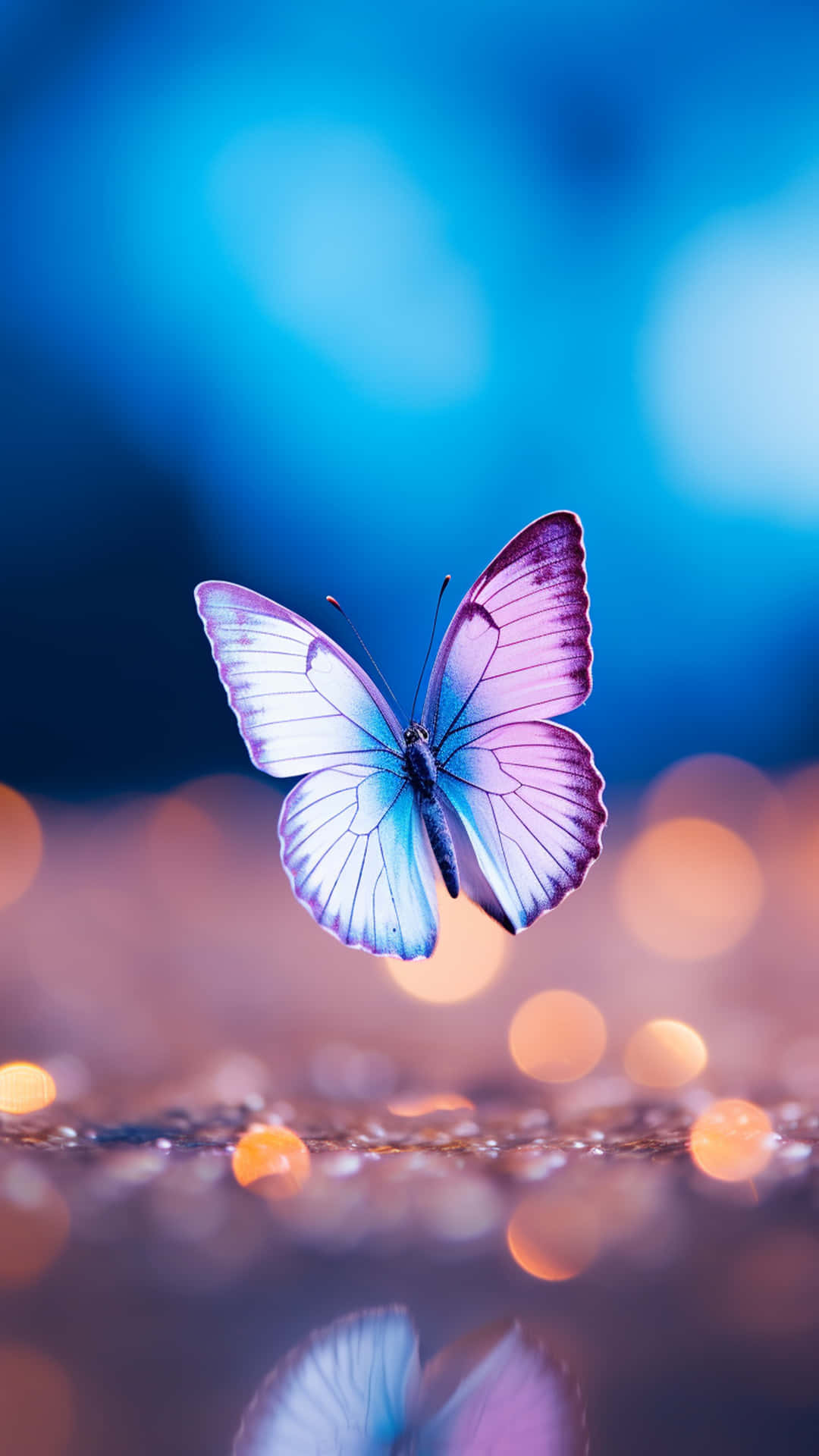 butterfly fly 壁紙 — 一隻精緻的蝴蝶，帶有彩虹色的紫色和藍色翅膀，在夢幻般的藍色散景背景前，盤旋在反光表面之上。
