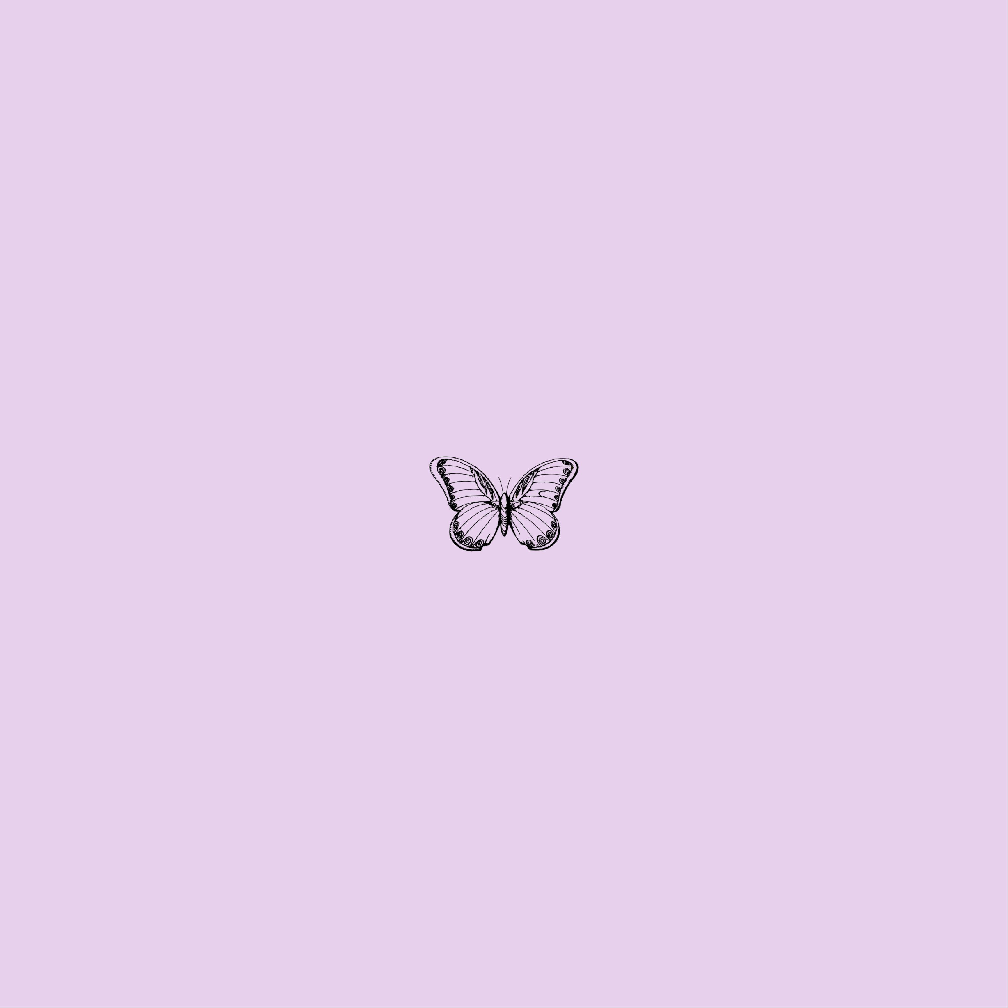 purple butterfly phone 桌布 壁紙 — 一隻精緻的黑色線條蝴蝶圖案，置於柔和的薰衣草色背景中央。