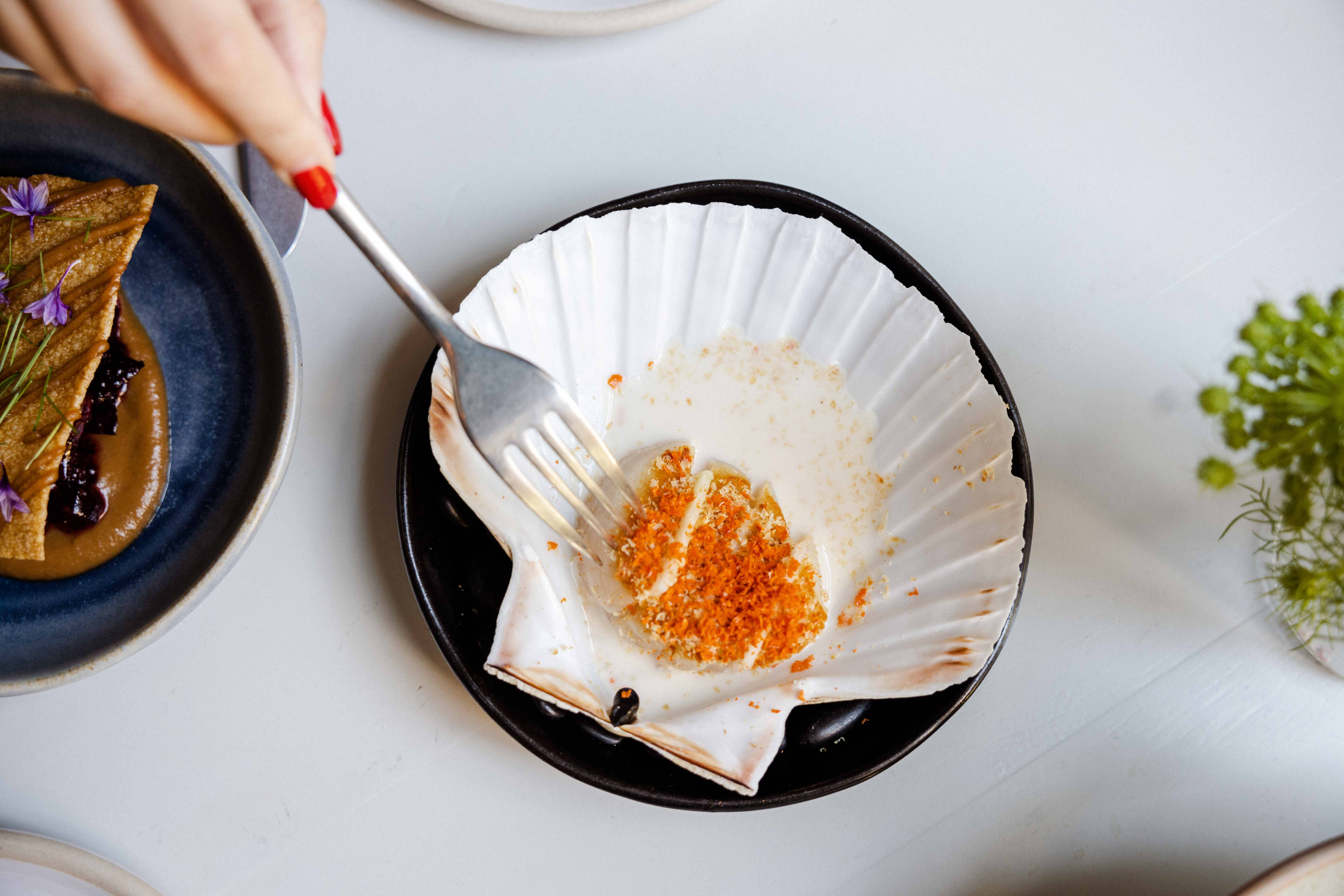 Delicious Food 桌布 壁紙 — 一隻紅指甲的手用叉子吃黑盤上殼中的扇貝。