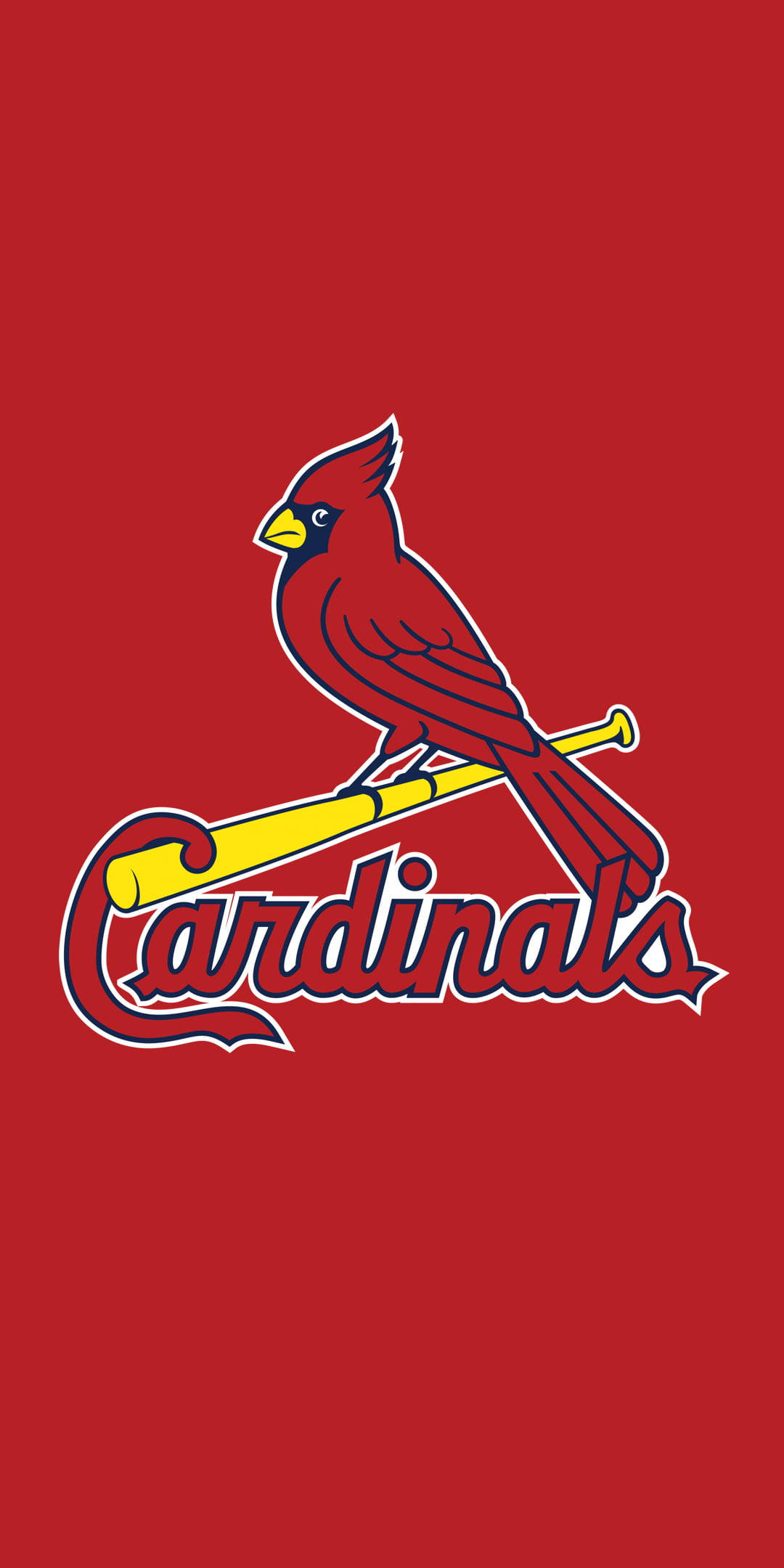 紅色動圖 桌布 壁紙 — 一隻紅色主教鳥棲息在黃色棒球棒上，下方有'Cardinals'字樣，背景為純紅色。