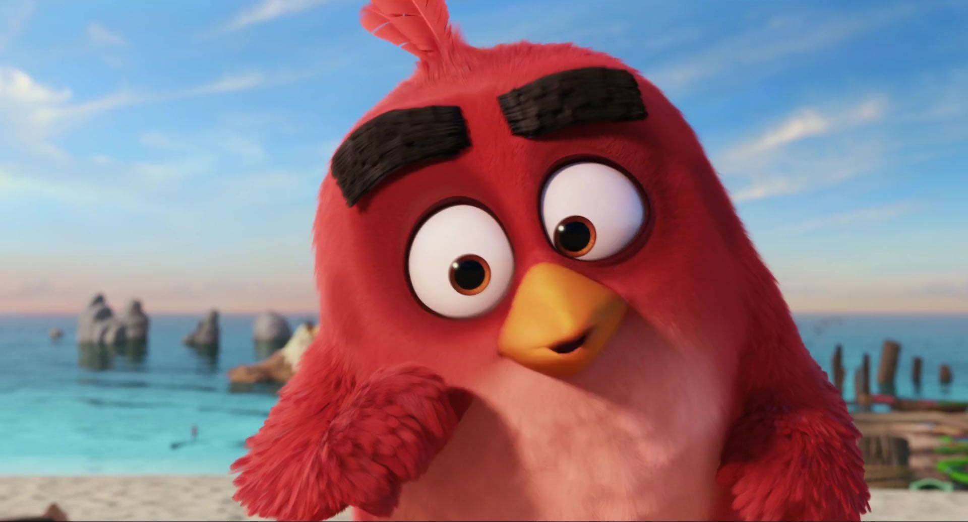 Angry Birds 桌布 壁紙 — 一隻紅色動畫鳥的特寫，擁有粗眉毛和大眼睛，背景是海岸、碧綠海水和岩石地貌。
