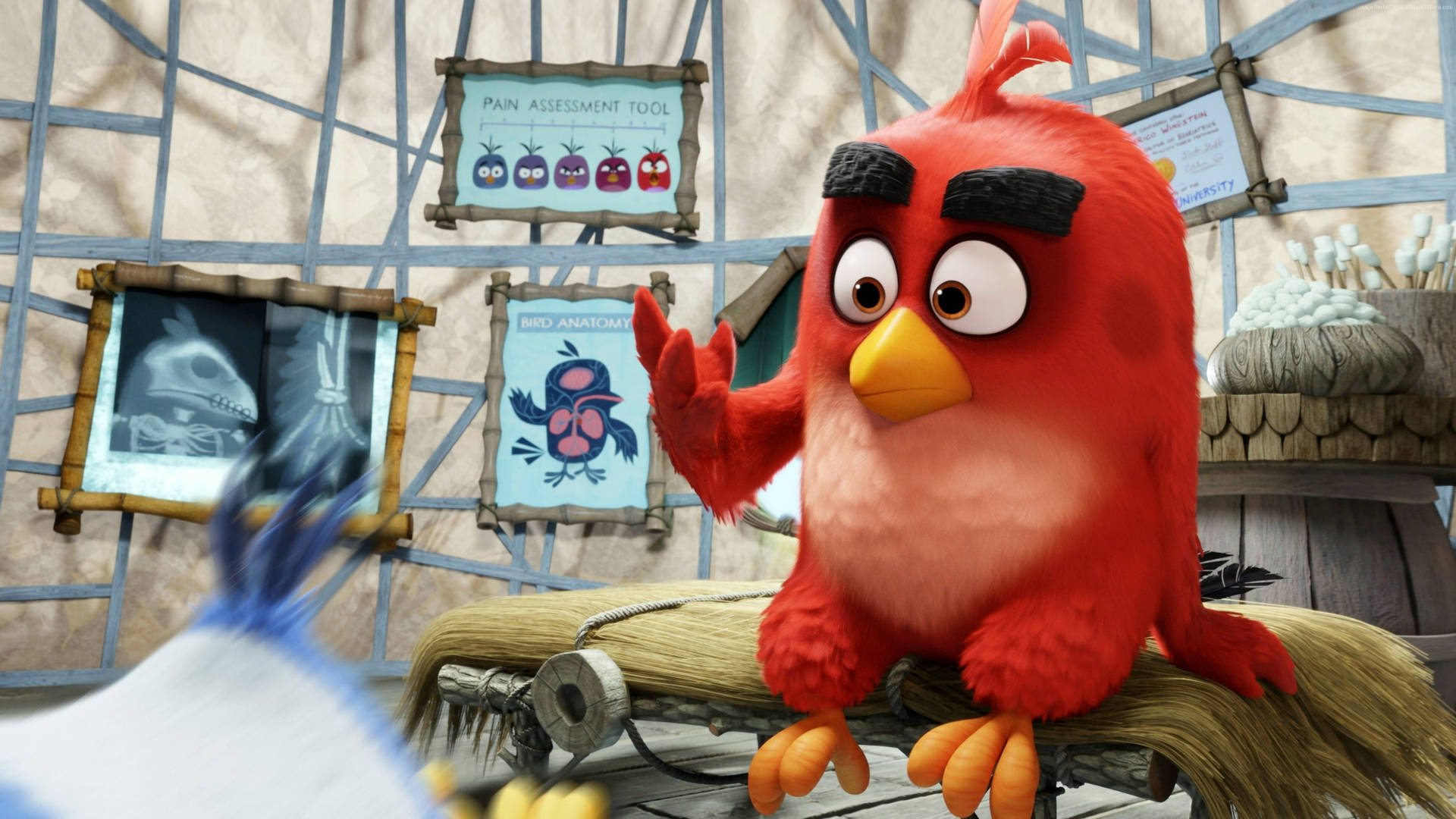 Angry Birds HD 桌布 壁紙 — 一隻紅色憤怒小鳥，黑色眉毛，坐在一間鄉村風格診所的稻草床上，牆上貼著醫療海報。