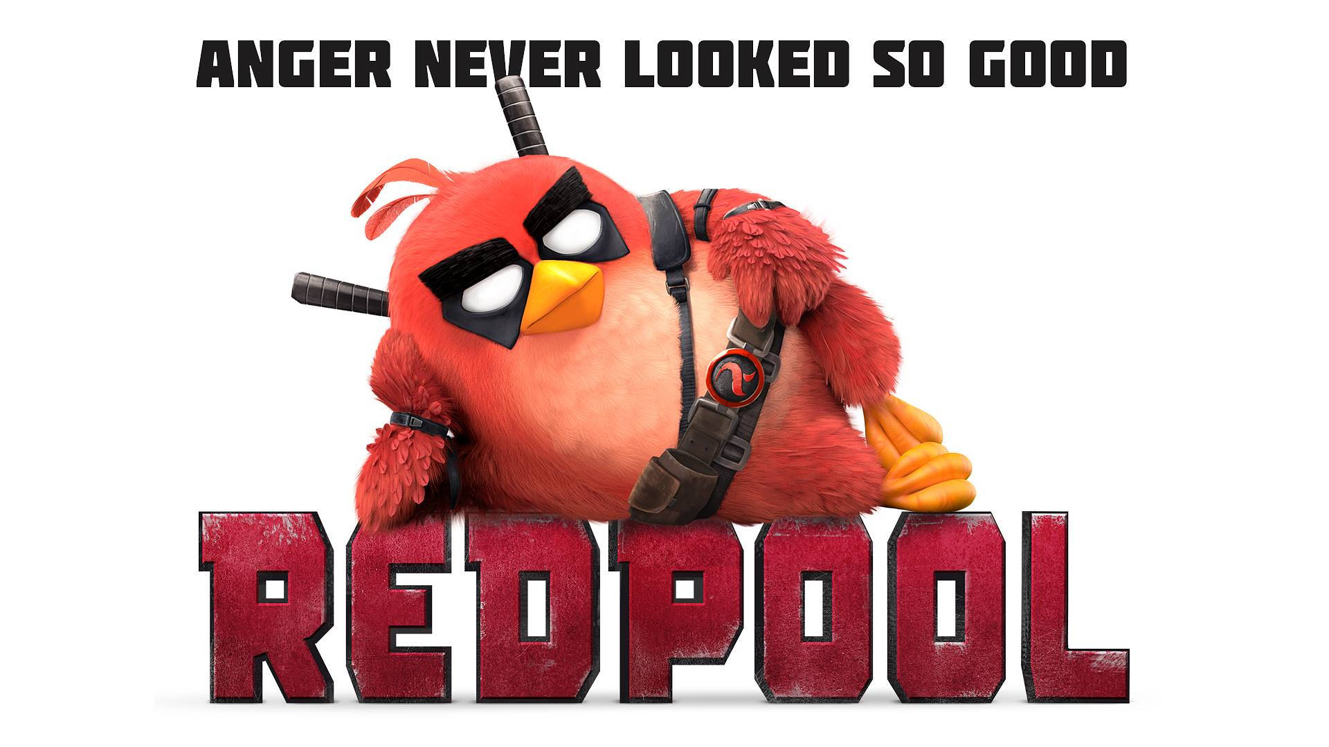 鳥 桌布 壁紙 — 一隻紅色的Angry Bird打扮成Deadpool，靠在粗體紅色字母拼出的REDPOOL上，上方的文字寫著ANGER NEVER LOOKED SO GOOD。
