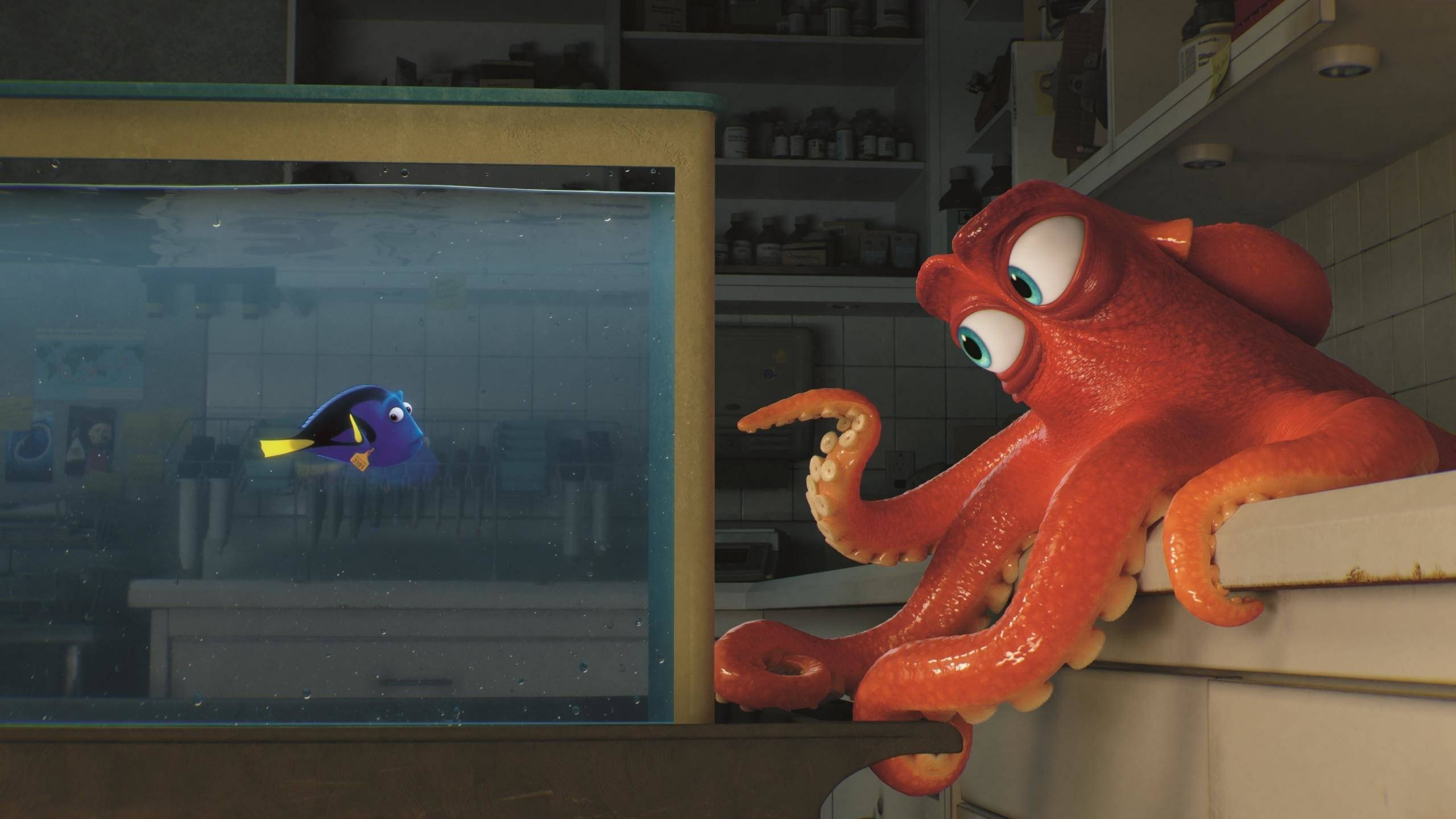 Dory 桌布 壁紙 — 一隻紅色章魚好奇地從實驗檯上探頭看著玻璃缸中游動的藍色魚。
