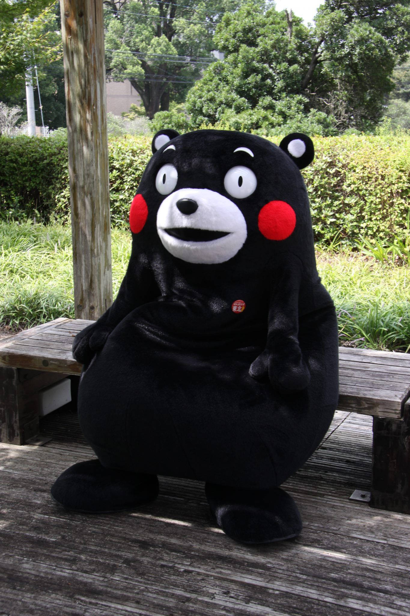 熊本熊 桌布 壁紙 — 一隻紅色臉頰的大型黑色熊本熊吉祥物，坐在茂密綠色戶外環境的木長椅上微笑。