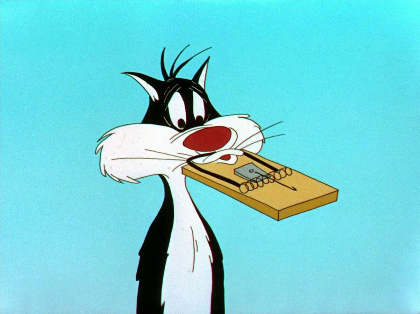 Sylvester The Cat 桌布 壁紙 — 一隻紅鼻子的卡通貓咪嘴裡叼著一個捕鼠器，背景是純藍色。