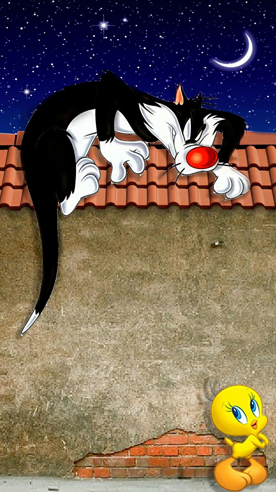 Sylvester The Cat 桌布 壁紙 — 一隻紅鼻子的卡通貓在星空下的瓦片上休息，一隻黃鳥從下面觀看。