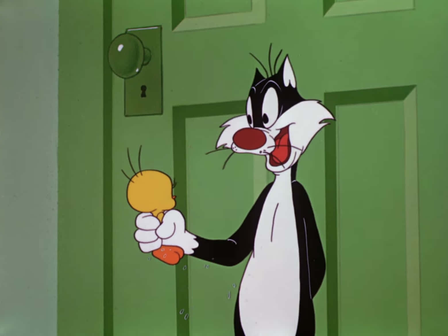 Sylvester The Cat 桌布 壁紙 — 一隻紅鼻子的卡通貓在綠色門前拿著一隻小黃鳥。