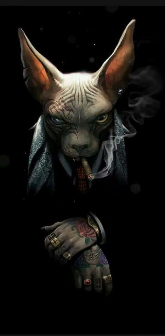 Cartoon Cat Scary 桌布 壁紙 — 一隻紋身斯芬克斯貓穿著西裝，在繁星點點的黑色背景下抽雪茄，煙霧向上繚繞。