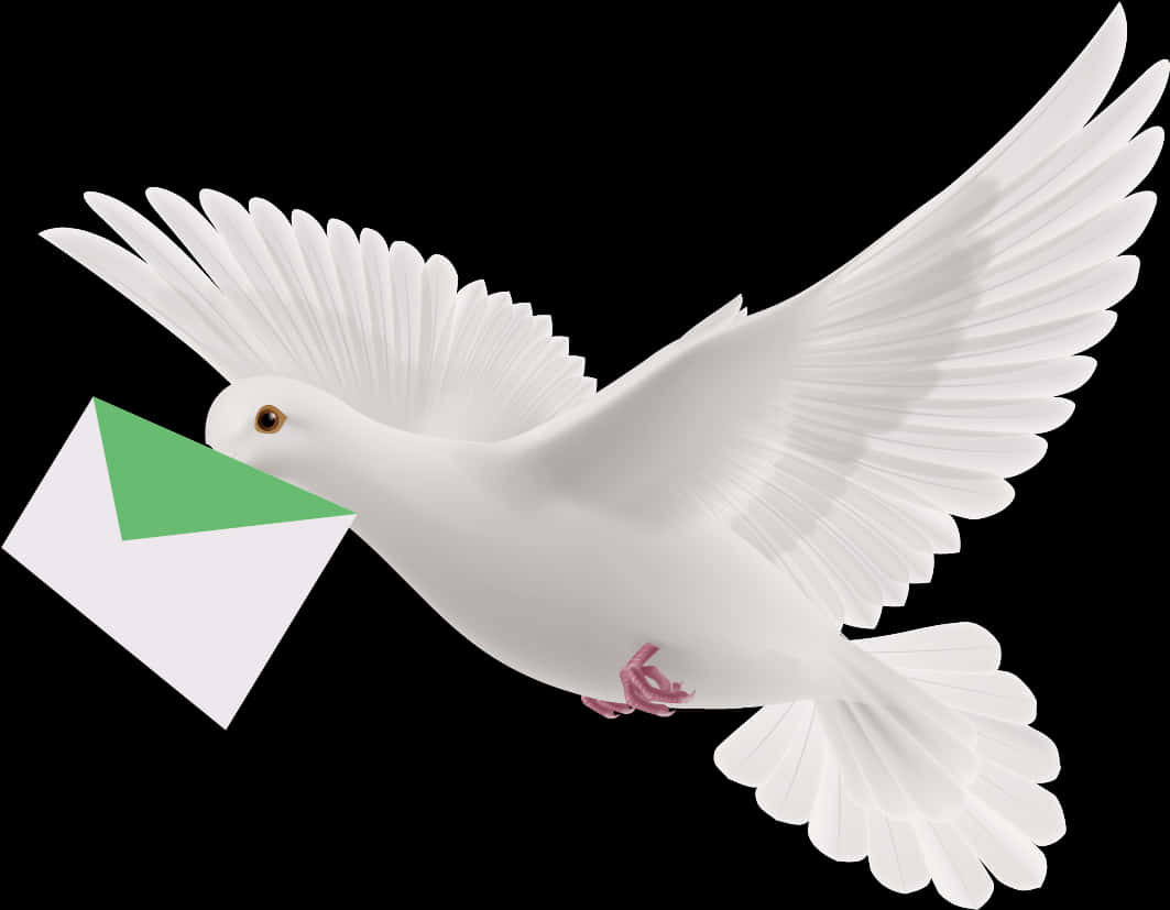 鳥 桌布 壁紙 — 一隻純潔的白鴿在飛行中叼著一個綠色和白色的信封，背景是純黑色。