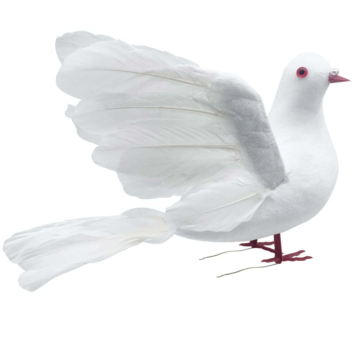 Dove Wings 桌布 壁紙 — 一隻純潔的白鴿展開翅膀，紅色的眼睛，在純白的背景前靜止不動。