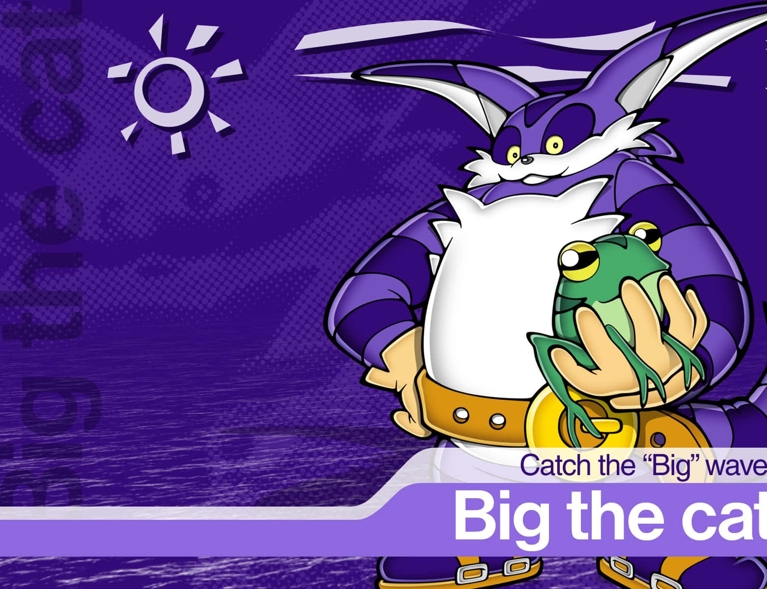 Big The Cat 桌布 壁紙 — 一隻紫色和白色的卡通貓咪，長耳朵，在充滿活力的紫色背景上抱著一隻綠色青蛙，並有太陽圖示。