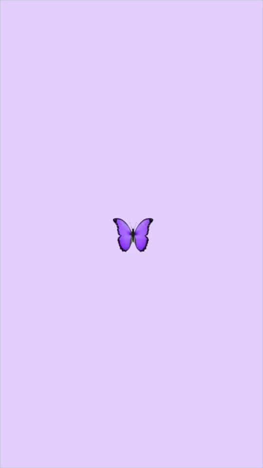 Cool Butterfly 桌布 壁紙 — 一隻紫色蝴蝶在柔和的薰衣草背景上居中休息，呈現極簡數位藝術風格。