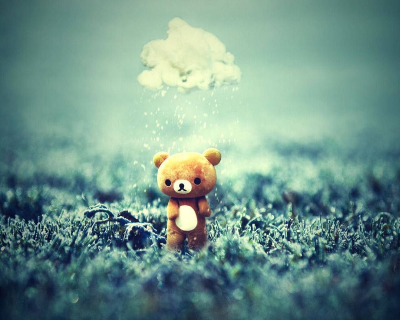 Cute Bear 桌布 壁紙 — 一隻細小的棕色泰迪熊站在結霜的田野上，一朵熊形狀的雲在它上方溫柔地下著雨。