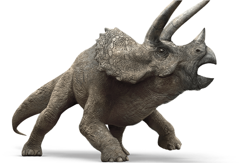 Jurassic World 桌布 壁紙 — 一隻細節豐富的3D渲染三角龍，帶有紋理的灰色皮膚和鋒利的角，站在黑色背景前。