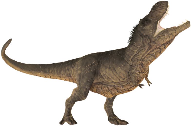 Dino 桌布 壁紙 — 一隻細節豐富的3D渲染暴龍，帶有紋理的灰棕色皮膚，在純黑背景下咆哮。