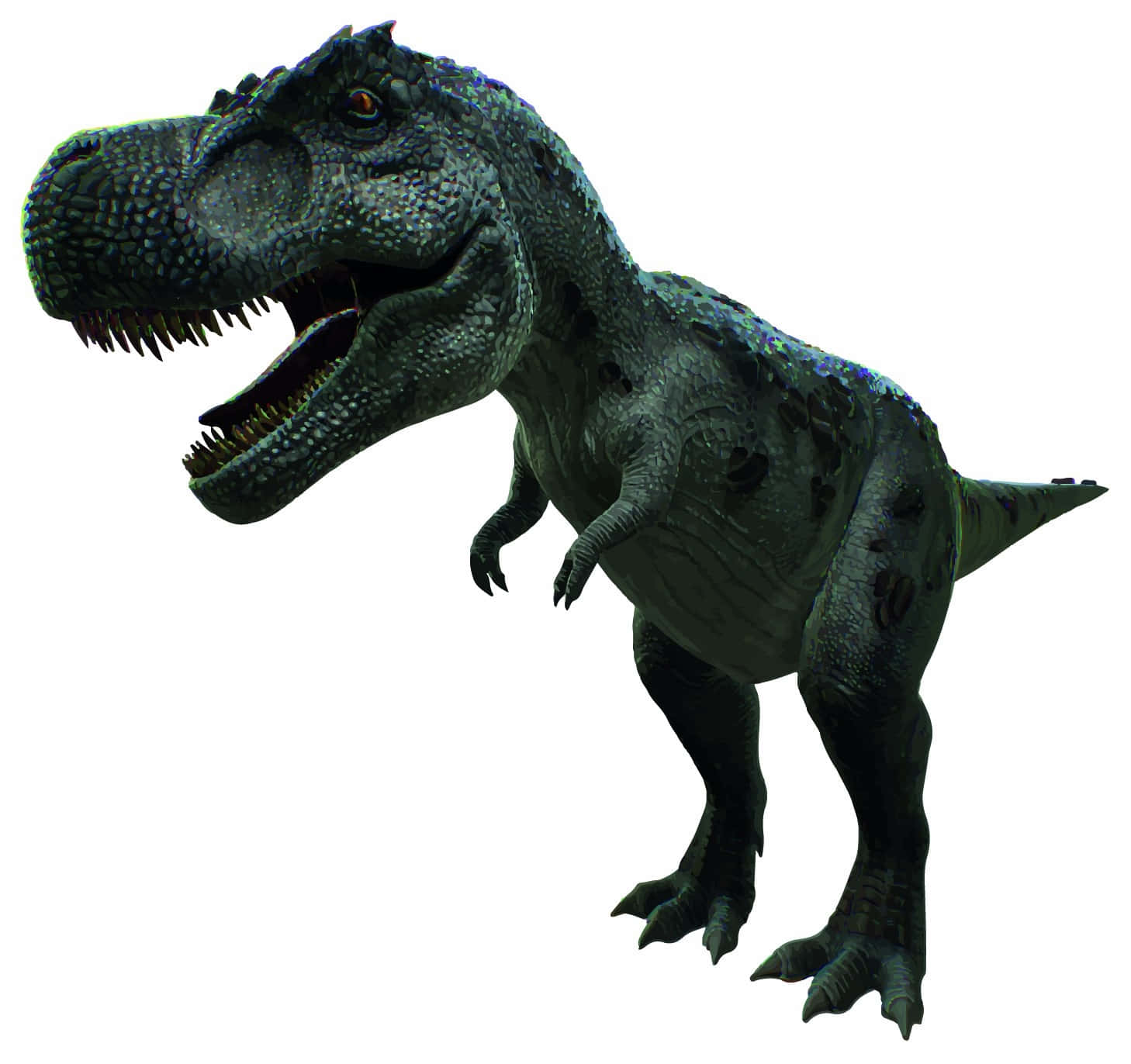 Dino 桌布 壁紙 — 一隻細節豐富的3D渲染暴龍，帶有紋理的灰綠色皮膚和鋒利的牙齒，站在純白色背景前。