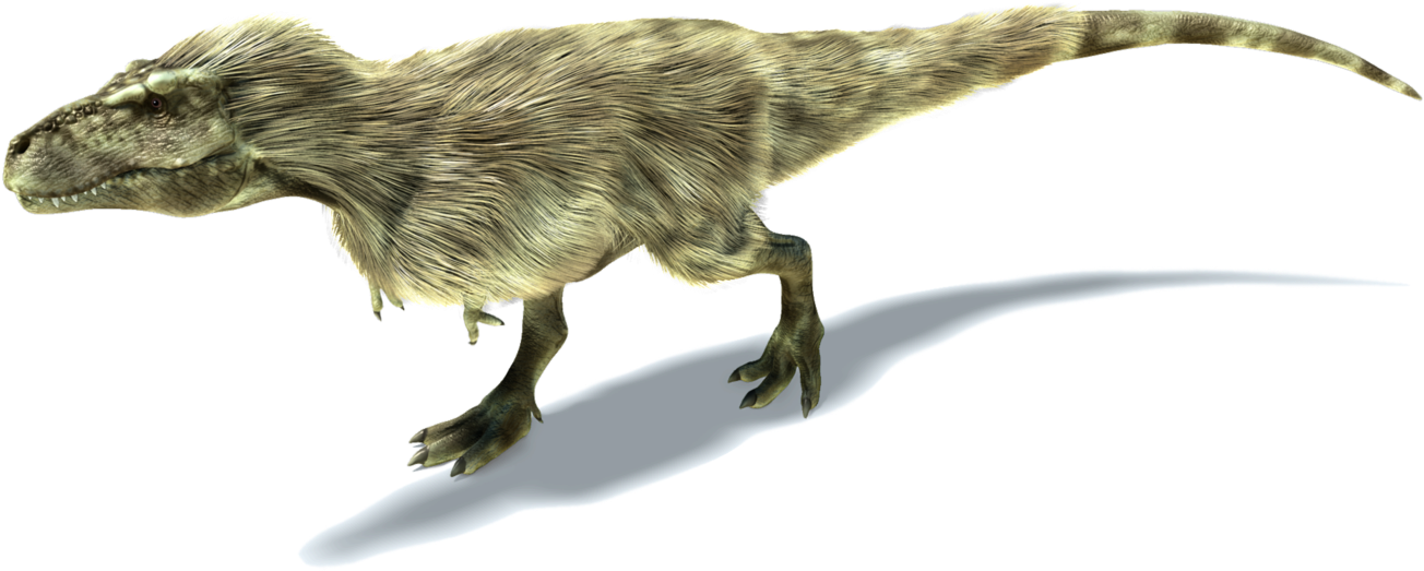 Tyrannosaurus Rex 桌布 壁紙 — 一隻細節豐富的3D渲染有羽毛獸腳類恐龍，帶有紋理的棕色毛髮，站在彎曲的陰影上，背景為純黑色。